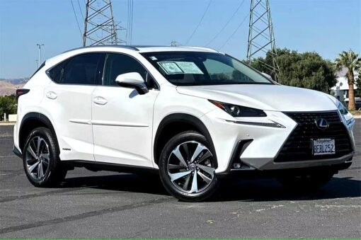 2019 LEXUS NX300