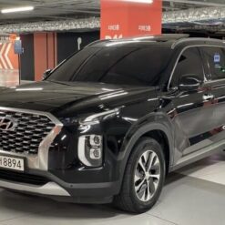 2019 Hyundai palisade