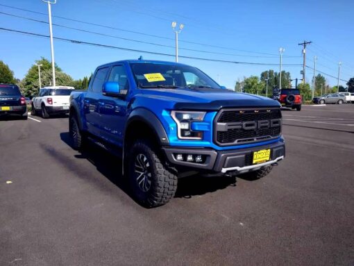 2017 FORD F150 RAPTOR